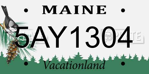 5AY1304 Maine License Plate