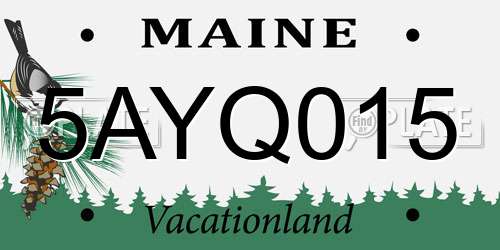 5AYQ015 Maine License Plate