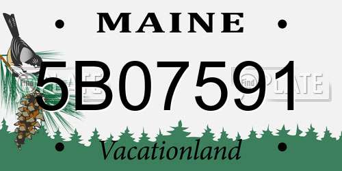 5B07591 Maine License Plate