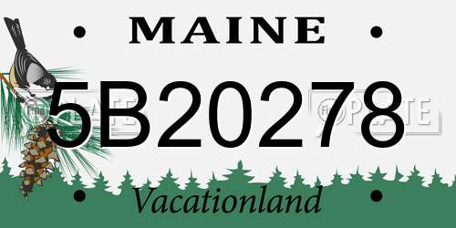 5B20278 Maine License Plate