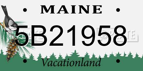 5B21958 Maine License Plate