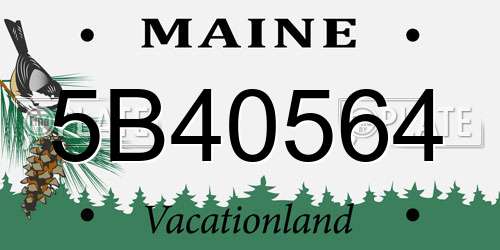 5B40564 Maine License Plate