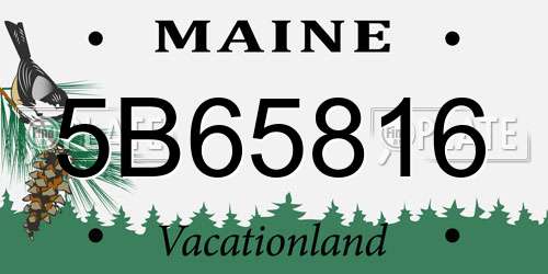 5B65816 Maine License Plate