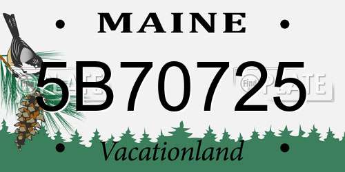 5B70725 Maine License Plate