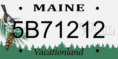 5B71212 Maine License Plate