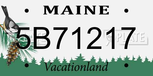 5B71217 Maine License Plate