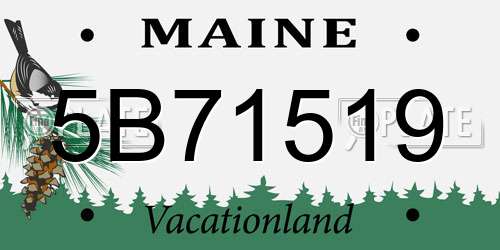 5B71519 Maine License Plate