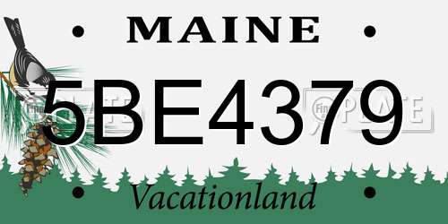 5BE4379 Maine License Plate