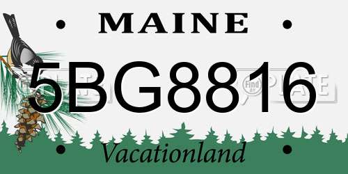5BG8816 Maine License Plate