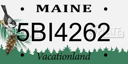 5BI4262 Maine License Plate