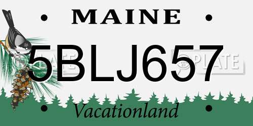 5BLJ657 Maine License Plate