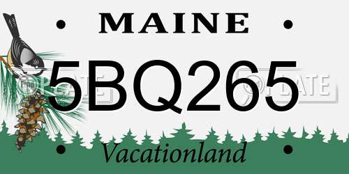 5BQ265 Maine License Plate