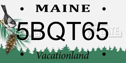 5BQT65 Maine License Plate