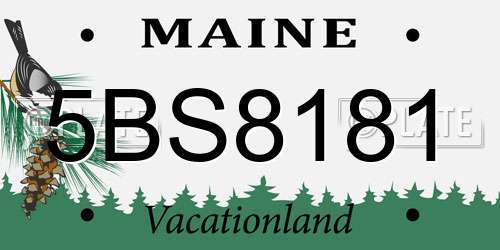5BS8181 Maine License Plate