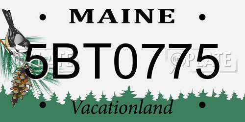 5BT0775 Maine License Plate