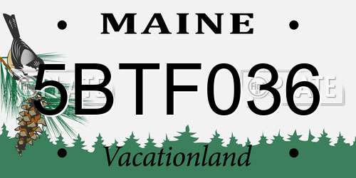 5BTF036 Maine License Plate