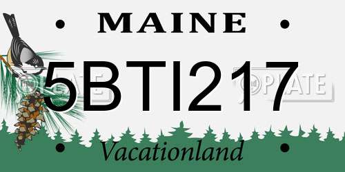 5BTI217 Maine License Plate