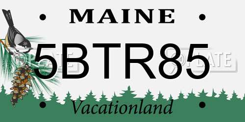 5BTR85 Maine License Plate