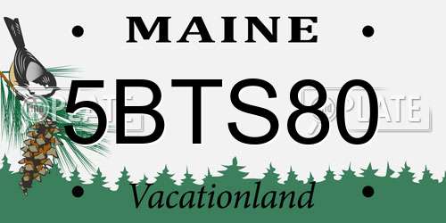 5BTS80 Maine License Plate