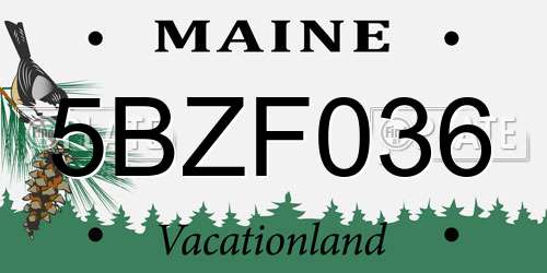 5BZF036 Maine License Plate