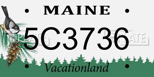5C3736 Maine License Plate