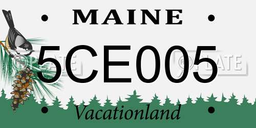 5CE005 Maine License Plate