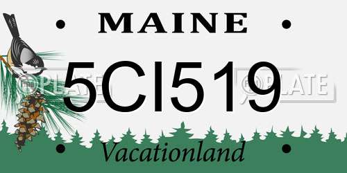 5CI519 Maine License Plate