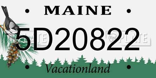 5D20822 Maine License Plate