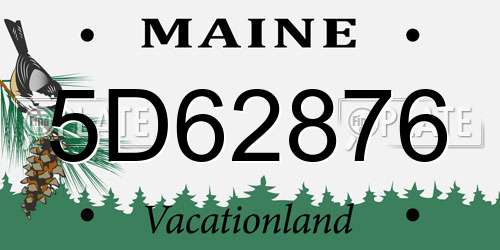 5D62876 Maine License Plate