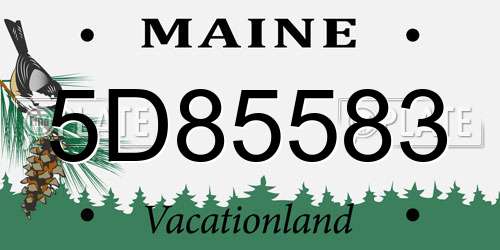 5D85583 Maine License Plate