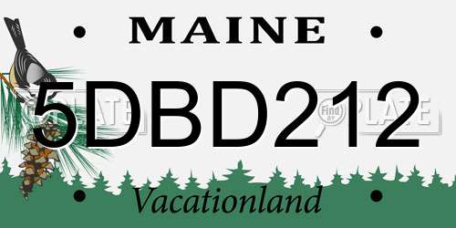 5DBD212 Maine License Plate