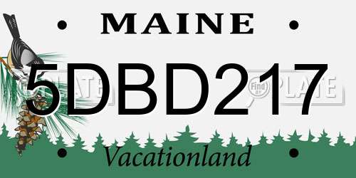 5DBD217 Maine License Plate