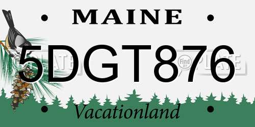5DGT876 Maine License Plate