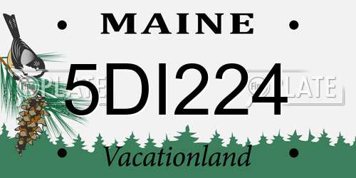 5DI224 Maine License Plate