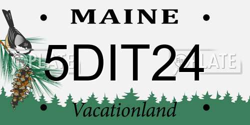 5DIT24 Maine License Plate