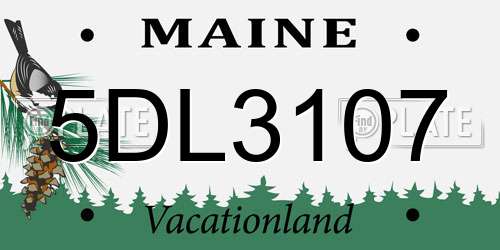 5DL3107 Maine License Plate