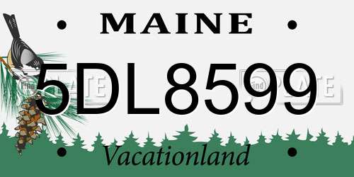 5DL8599 Maine License Plate