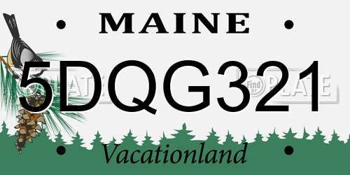 5DQG321 Maine License Plate