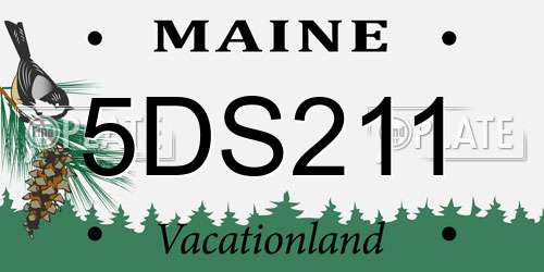 5DS211 Maine License Plate