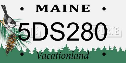 5DS280 Maine License Plate