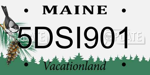 5DSI901 Maine License Plate