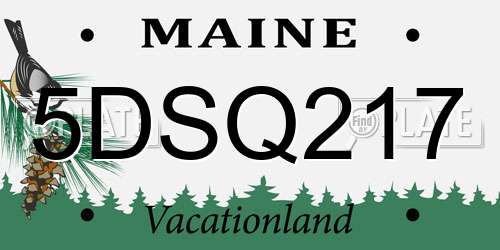 5DSQ217 Maine License Plate