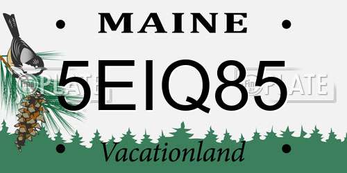 5EIQ85 Maine License Plate