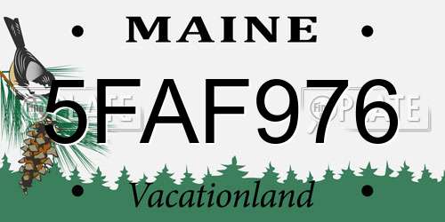 5FAF976 Maine License Plate