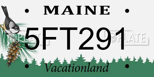 5FT291 Maine License Plate