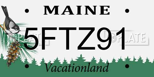 5FTZ91 Maine License Plate