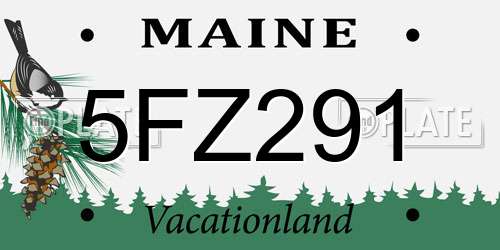 5FZ291 Maine License Plate