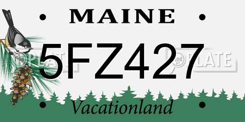 5FZ427 Maine License Plate