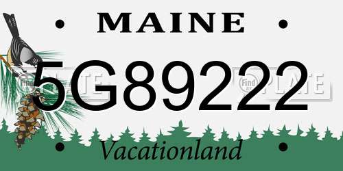 5G89222 Maine License Plate