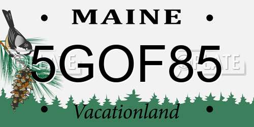 5GOF85 Maine License Plate